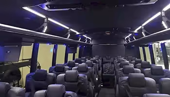 professional  car service